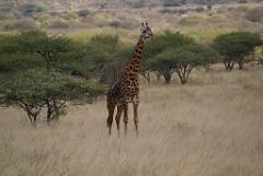 2008-kenia-0287