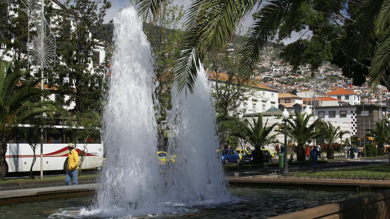 2009-03-Madeira-009.jpg - SONY DSC