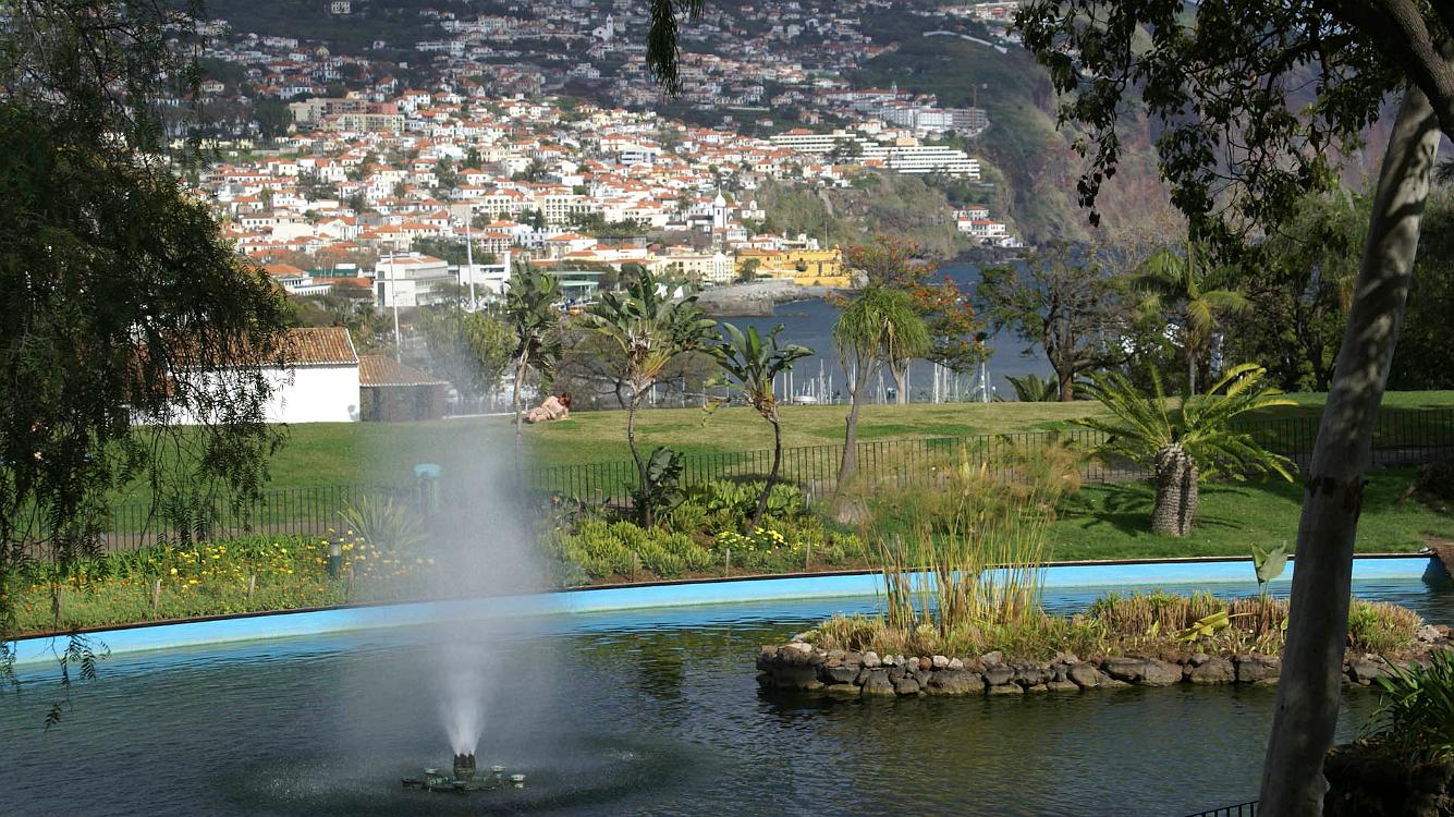 2009-03-Madeira-017.jpg - SONY DSC