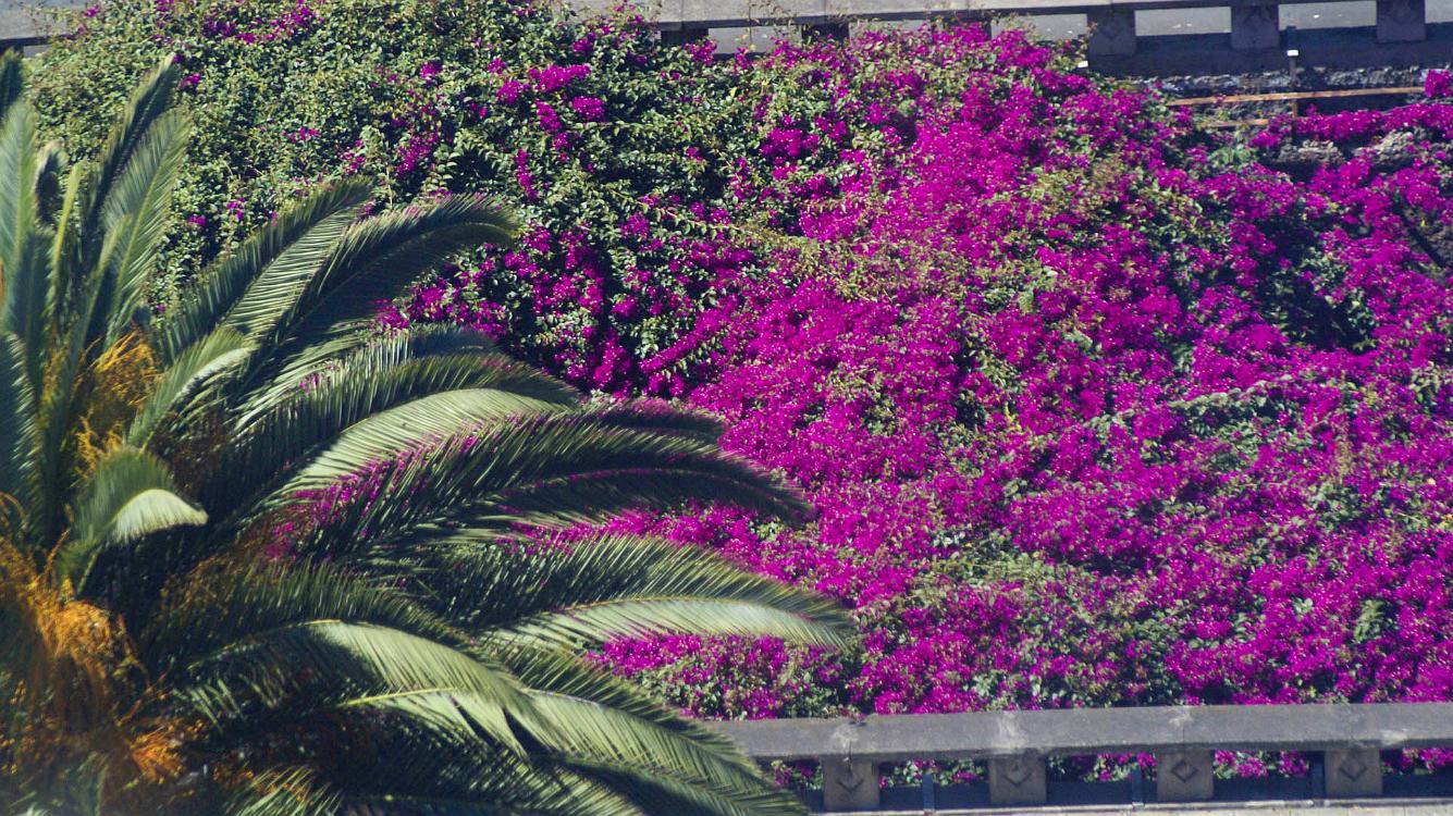 2009-03-Madeira-048.jpg - SONY DSC