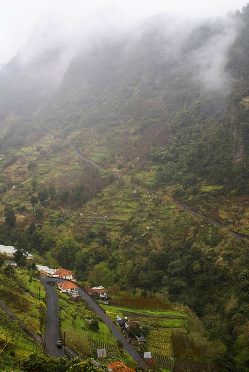 2009-03-Madeira-067.jpg - SONY DSC