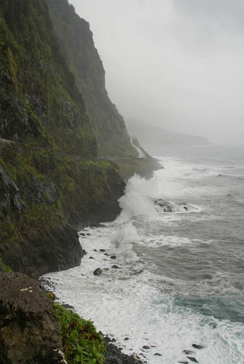 2009-03-Madeira-080.jpg - SONY DSC