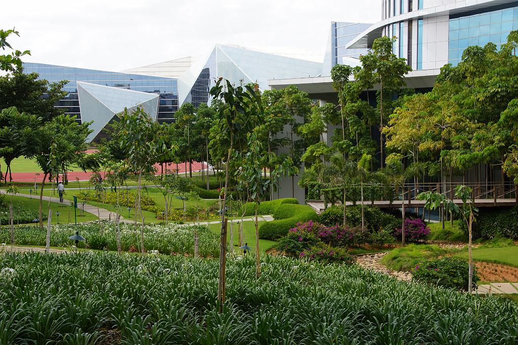 20120716-DSC04942-RL.jpg