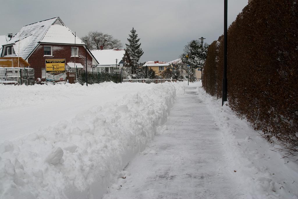 20100130-DSC01839.jpg - SONY DSC